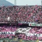 Tifosi Palermo