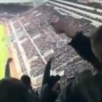 tifosi-everton