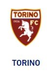 torino-logo-big