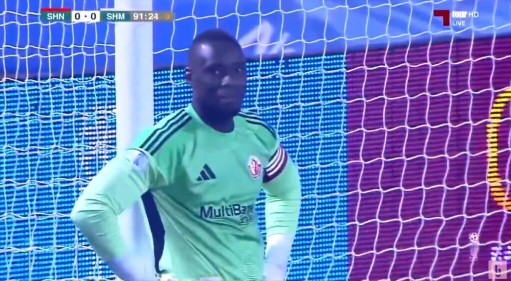 Papera portiere